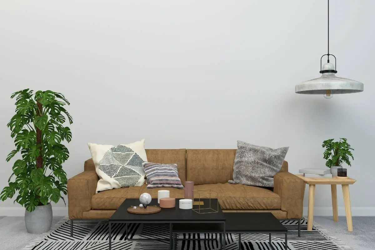 budget area rug apartment decorating ideas on a budget
