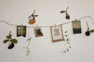 Apartment Decorating Cost Breakdown: $569 guide 3 Picture frame for gallery wall in apartment decorating cost breakdown