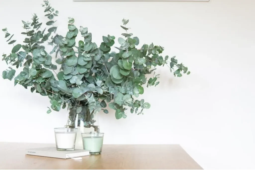 Styled vignette with eucalyptus, candles, and a book grouped in odd numbers